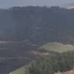 Bolu ve Bilecik’te yangınlar kontrol altında! Sakarya ve Manisa'dan sevindirici haberler bekleniyor