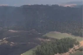 Bolu ve Bilecik’te yangınlar kontrol altında! Sakarya ve Manisa'dan sevindirici haberler bekleniyor