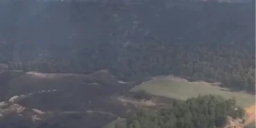 Bolu ve Bilecik’te yangınlar kontrol altında! Sakarya ve Manisa'dan sevindirici haberler bekleniyor