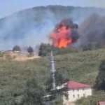 Düzce-Sakarya sınırında orman yangını