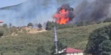 Düzce-Sakarya sınırında orman yangını