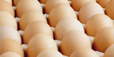 A sınıfı yumurtalarda 'tüketim tarihi' zorunluluğu... Türk Gıda Kodeksi Yumurta Tebliği'nde değişiklik