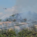 Manisa’da orman yangınlarıyla mücadele sürüyor... Başkan Dutlulu sahada