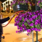 Eskişehir’de gece mesaisiyle yeşil alanlara can veriliyor