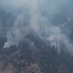 Karabük Yeşilköy’de orman yangını